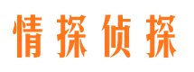 新蔡市调查公司